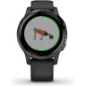 Часы GARMIN VIVOACTIVE 4S BLACK/SLATE 010-02172-13